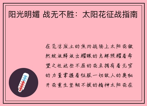 阳光明媚 战无不胜：太阳花征战指南