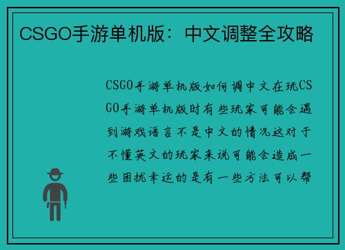CSGO手游单机版：中文调整全攻略