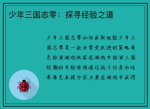 少年三国志零：探寻经验之道